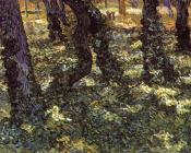 文森特 威廉 梵高 : 有常春藤的树干